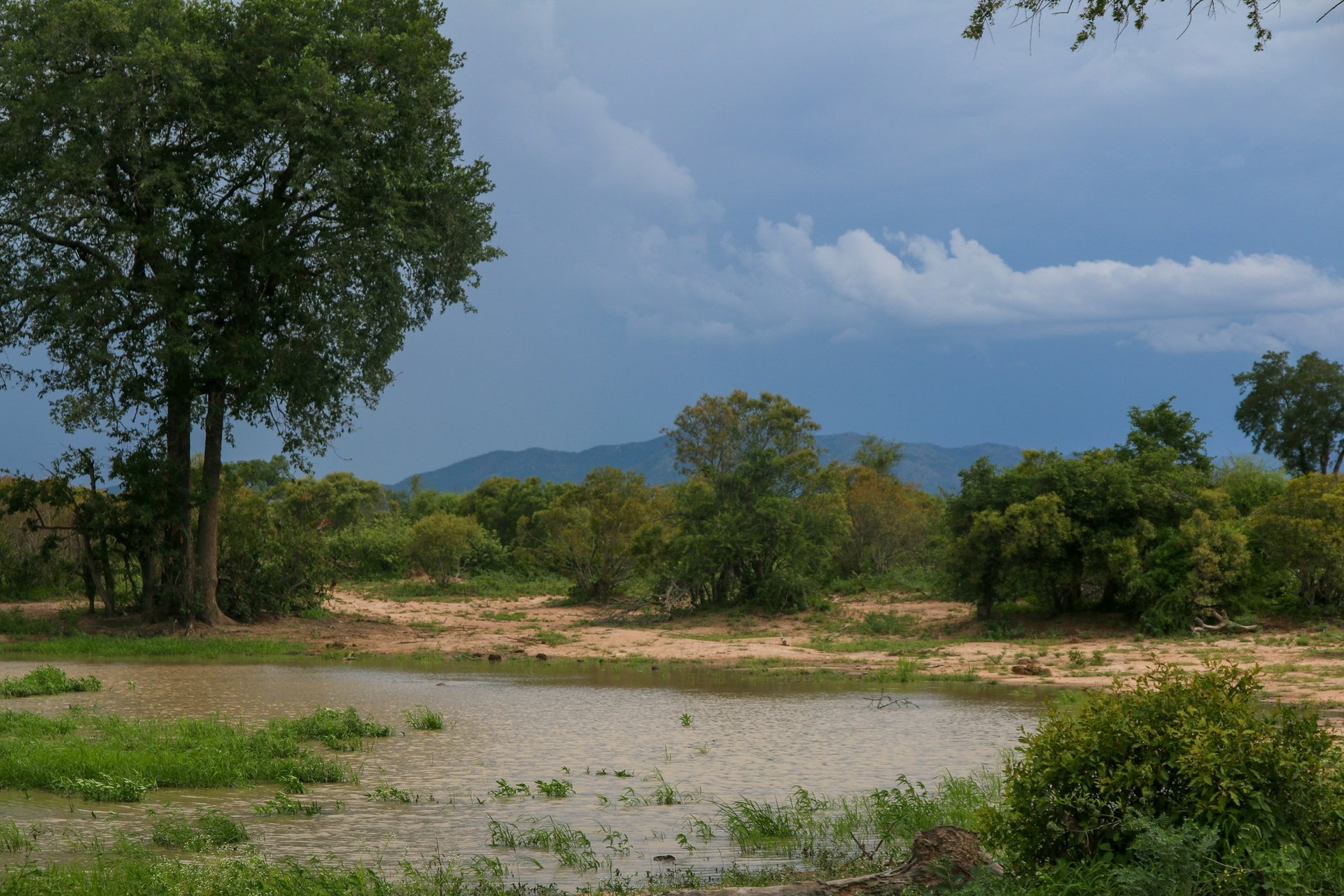 Flood Management Survey
